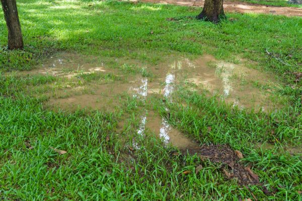 Cost of Storm Water Drainage Service in Wheaton