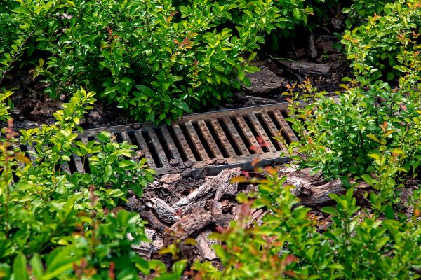 Cost of Underground Drainage Service in Wheaton