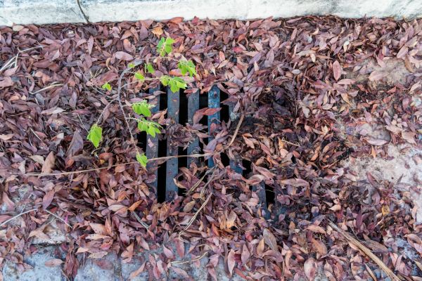 Cost of Yard Drain Unclogging in Wheaton