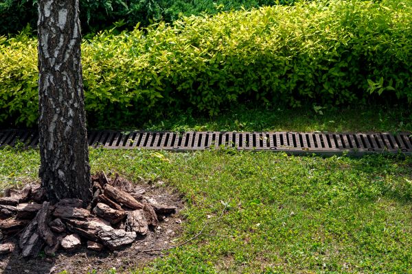 Cost of Yard Water Redirection in Wheaton
