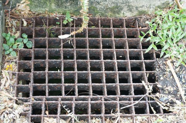 Cost of Yard Drain Cleaning in Wheaton