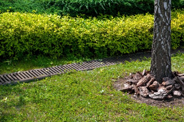 Cost of Residential Landscape Drainage in Wheaton