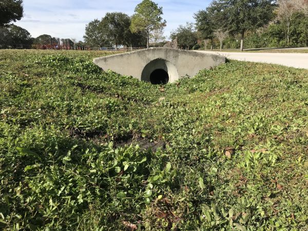 Cost of Swale Drainage Service in Wheaton